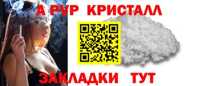 Альфа ПВП Кингисепп