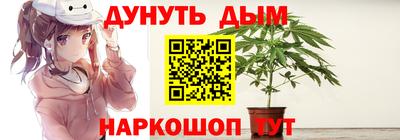 Альфа ПВП Кингисепп