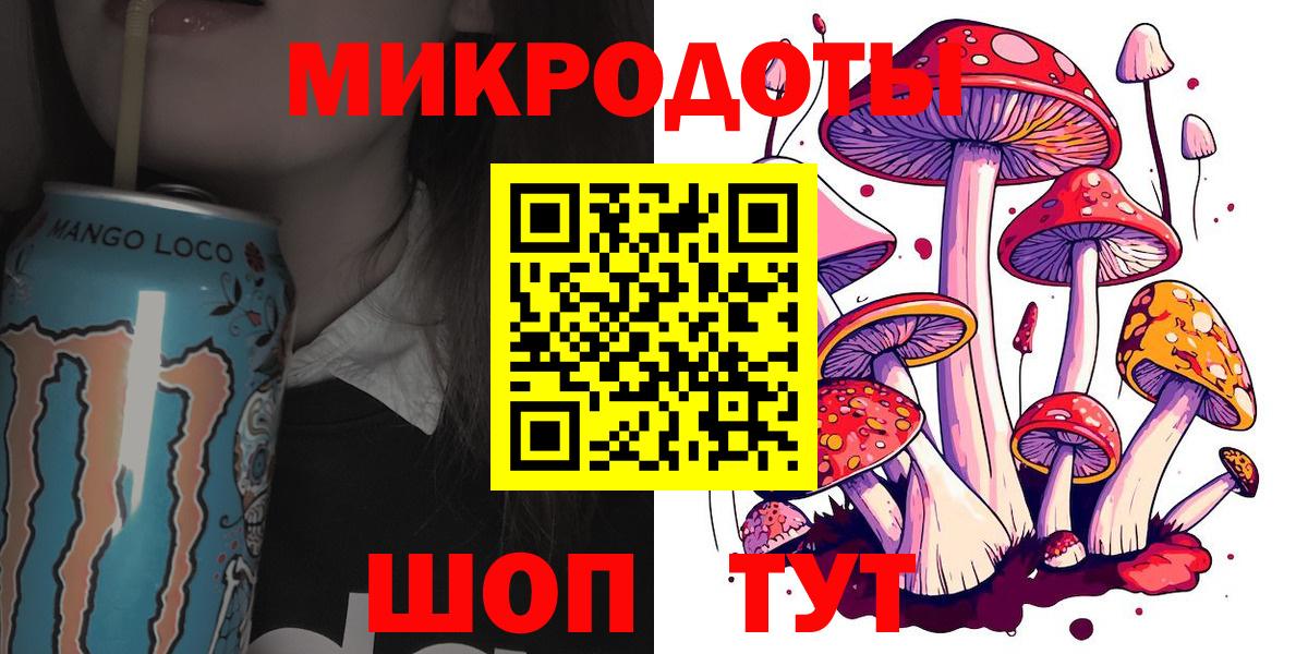 Псилоцибиновые грибы Psilocybine cubensis Камышлов