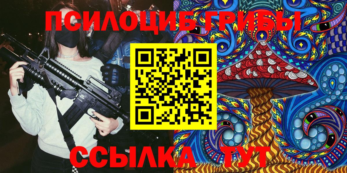 Галлюциногенные грибы Cubensis  Вход с VPN  Камышлов 