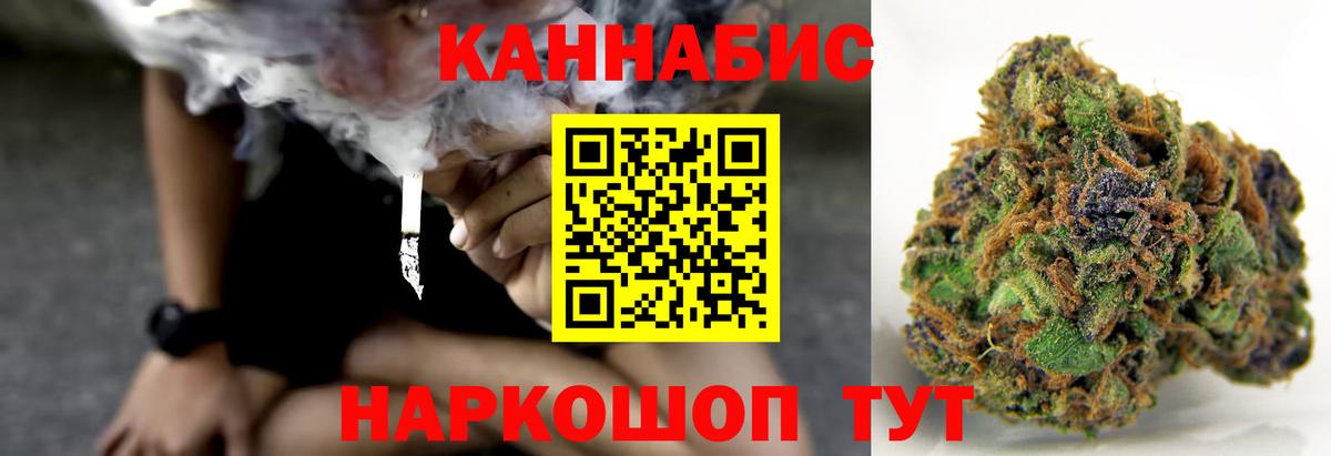 Конопля сатива Камышлов